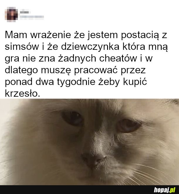 życie to jest gra 