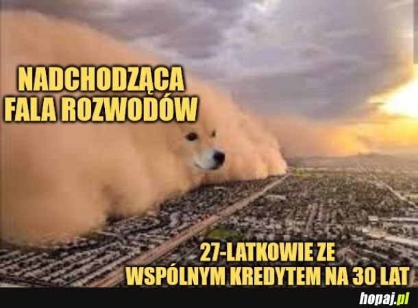 Rozwody.