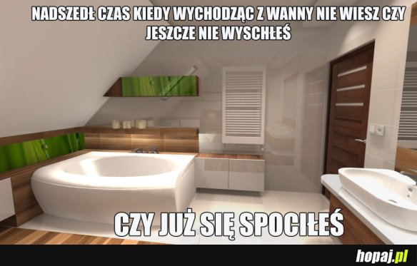 Zagwozdka