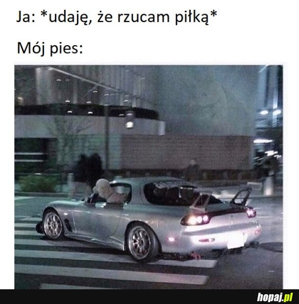 Muszę ją złapać