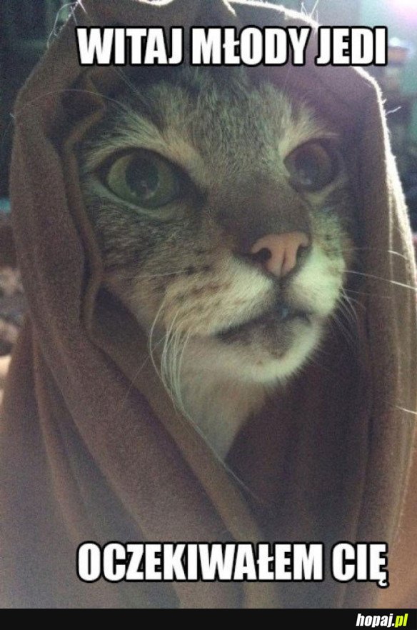 WITAJ MŁODY JEDI