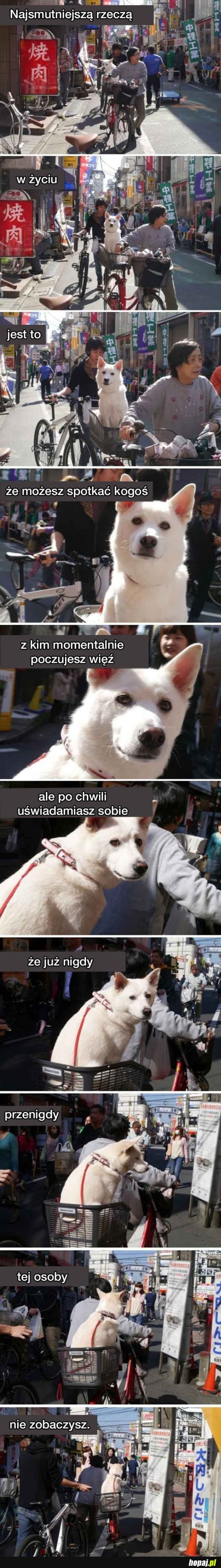 To straszne...
