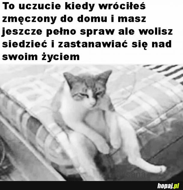 Rozmyślanie nad życiem