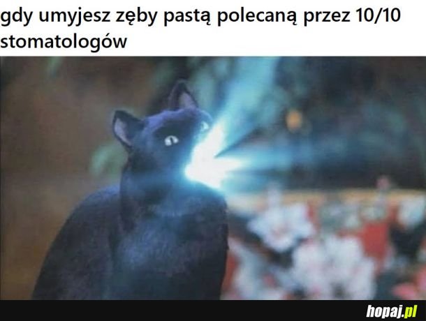 Może takie istnieją