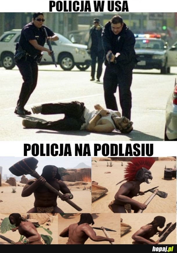 Policja