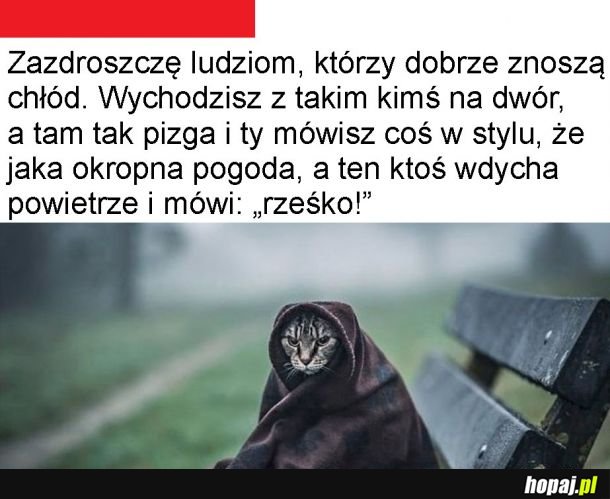 Podziw