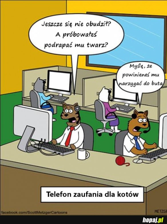 Telefon zaufania