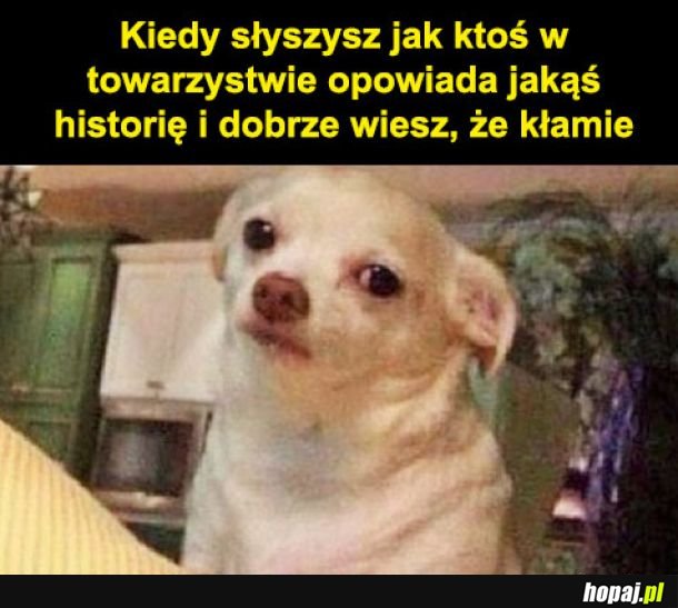 Łżesz