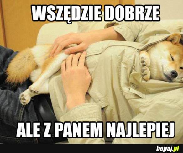 PAN I PIESEŁ