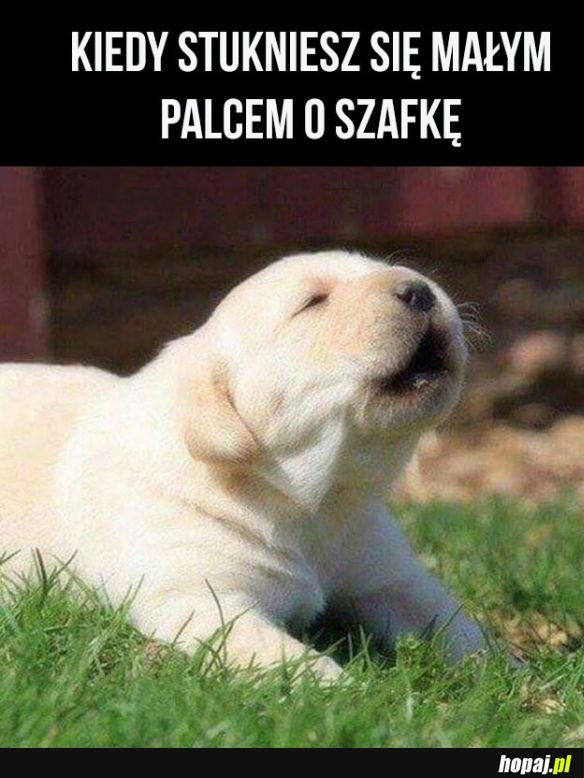 Ała
