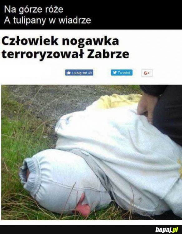 Wierszyk