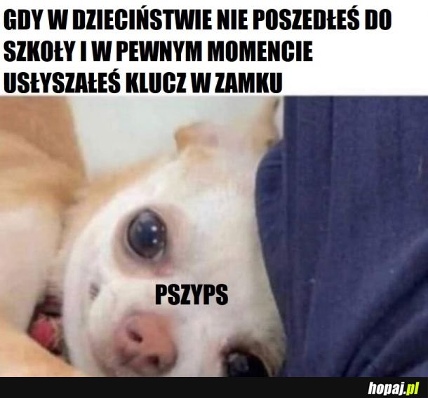 Jak to jest z wagarami