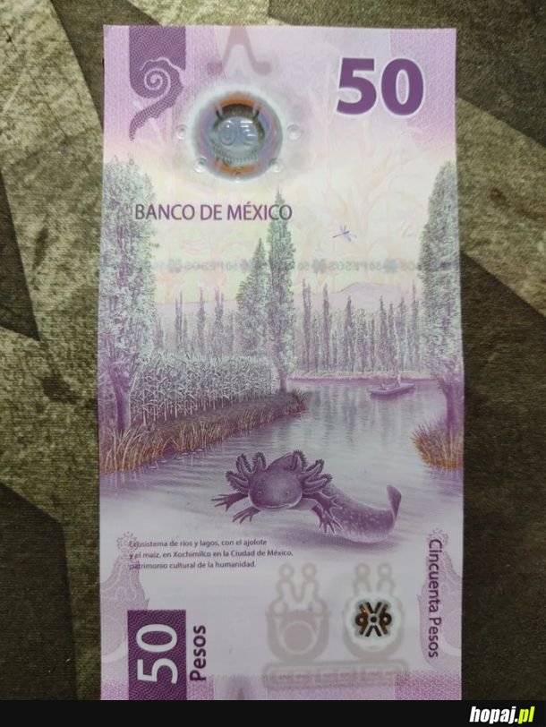 50 Pesos w Meksyku. NBP uczcie się!!!