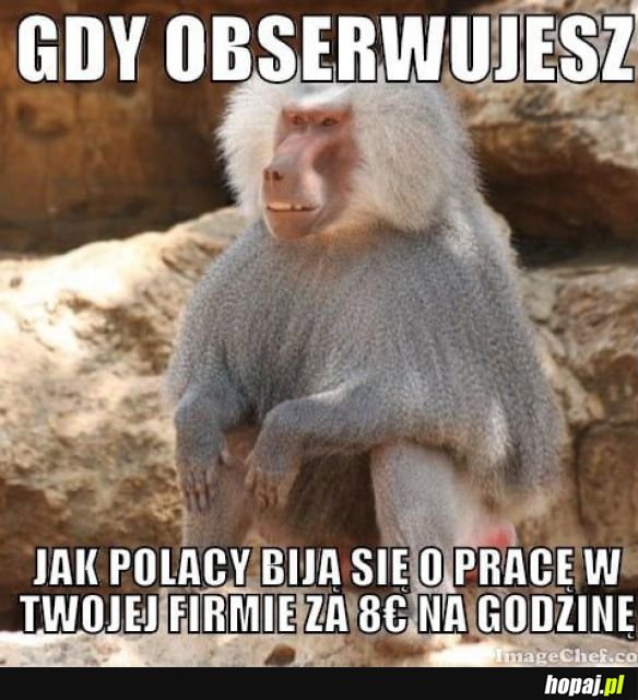 Tyle wygrać