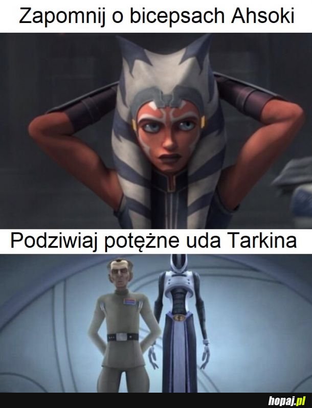 Podziwiajcie