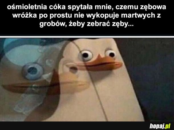 W sumie to niemiecki pragmatyzm