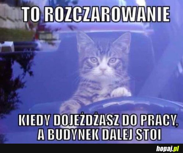 TO ROZCZAROWANIE