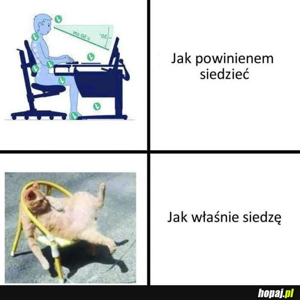 &quot;Dlaczego bolą mnie plecy&quot; starter pack