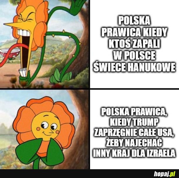 Podwójne standardy