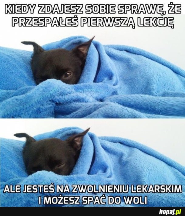 MOŻNA POSPAĆ