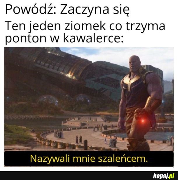 Przezornie