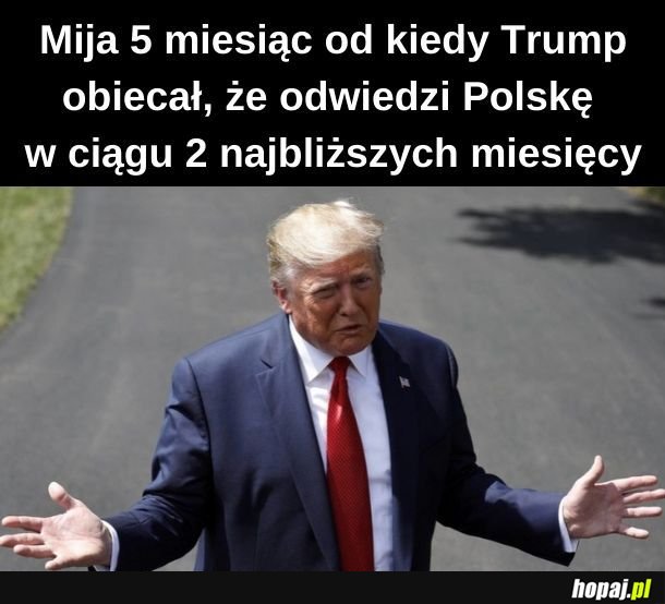 Mija również 9 miesiąc od kiedy obiecałem, że jutro skoszę trawnik