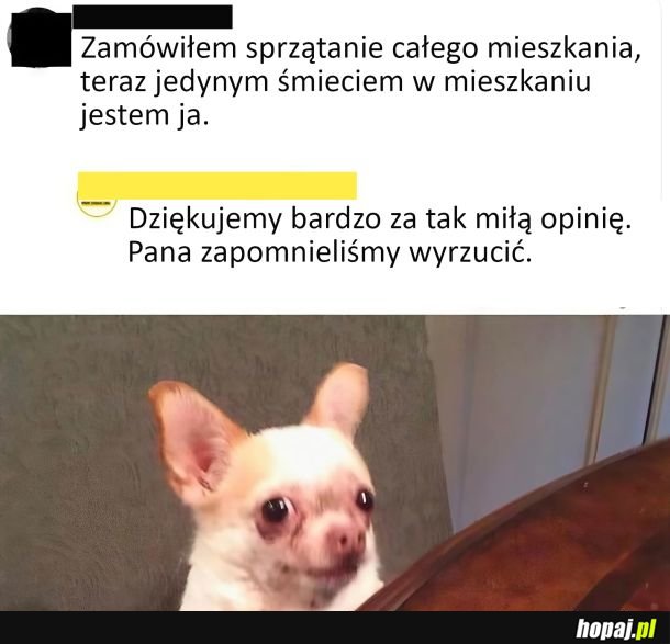 Sprzątanie mieszkania