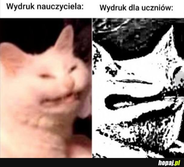 Wydruk