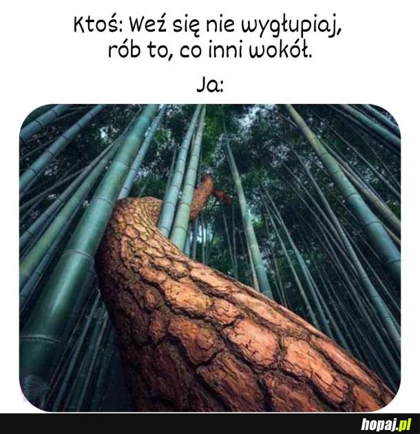 Naprawdę się staram