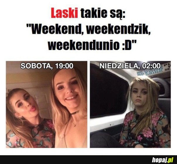 LOGIKA LASEK
