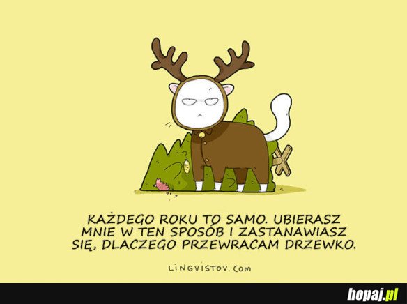 ŚWIĄTECZNY CZAS Z PERSPEKTYWY ZWIERZĄT 