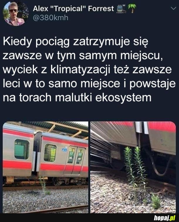 Aww