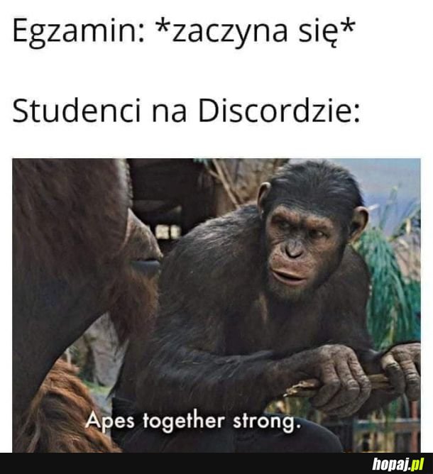 Zdalne egzaminy