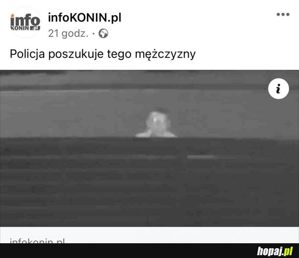 W sumie, każdy się nada!