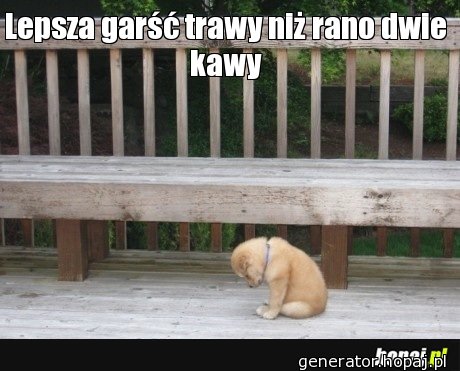 Lepsza garść trawy niż rano dwie kawy