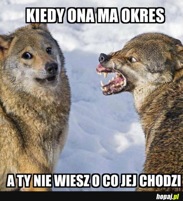 To uczucie