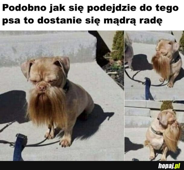  Mądra rada 