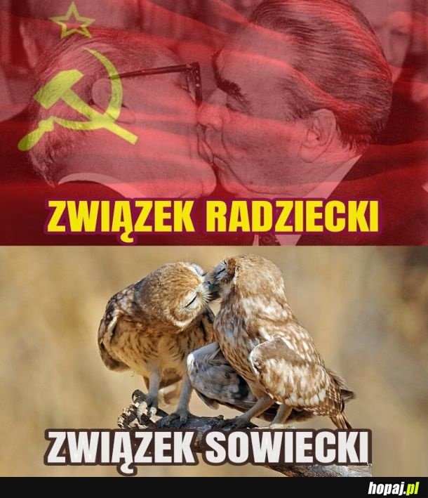 Teraz już wiesz