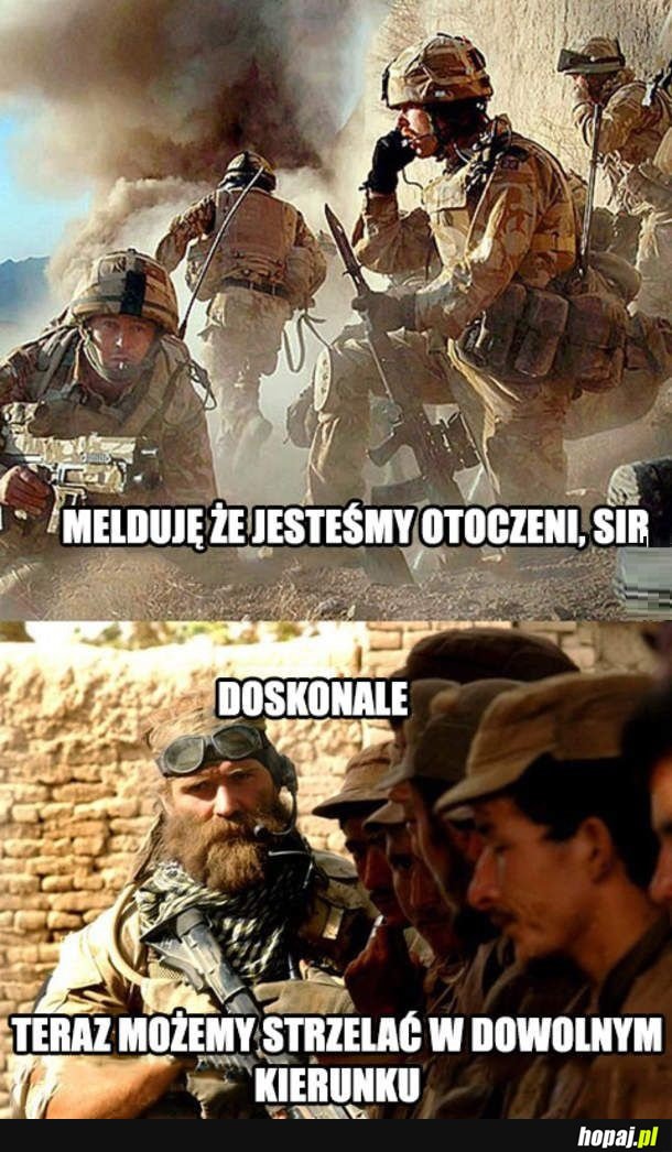 Melduję sir