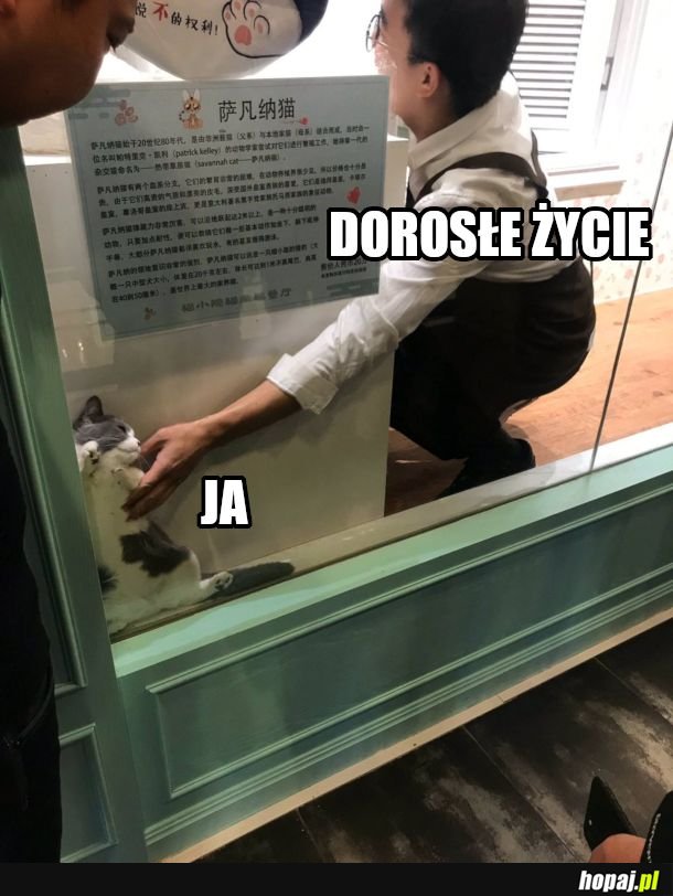 Czyli odpowiedzialność