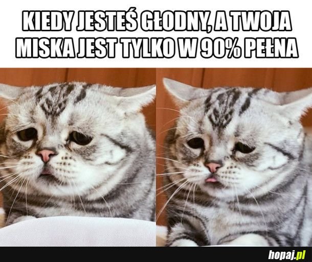 Skandal