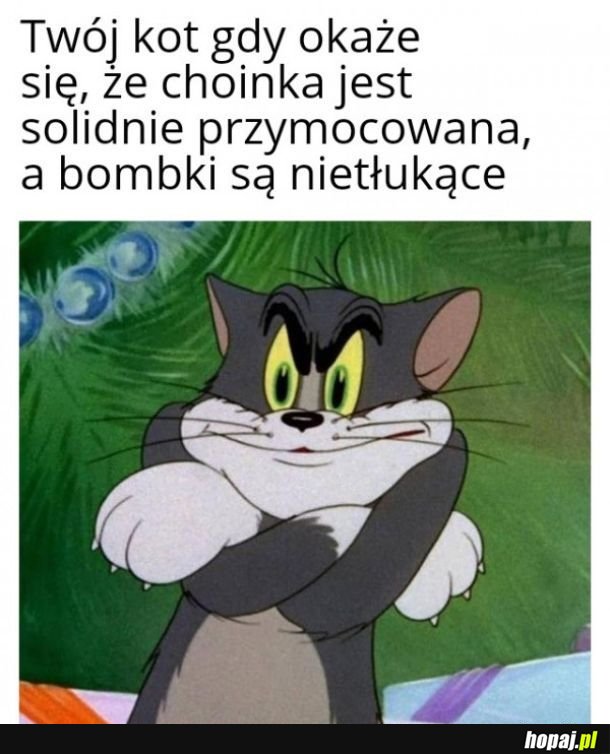 Co jest 