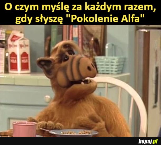 Alf