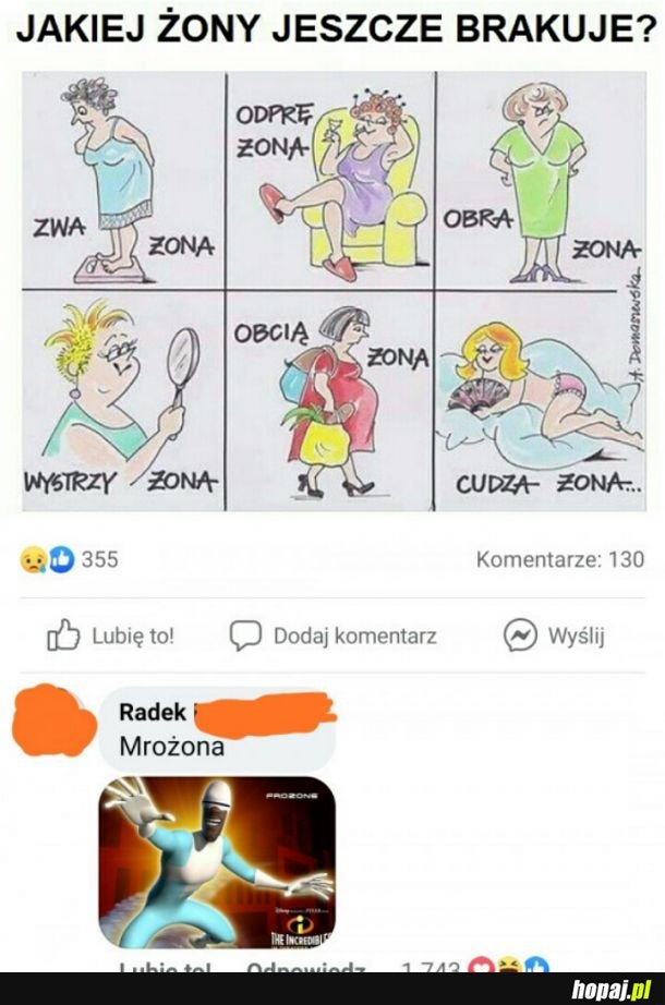Zamrożona