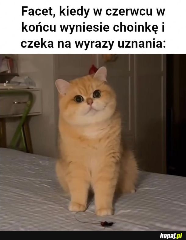 Jak mówi że zrobi to mówi