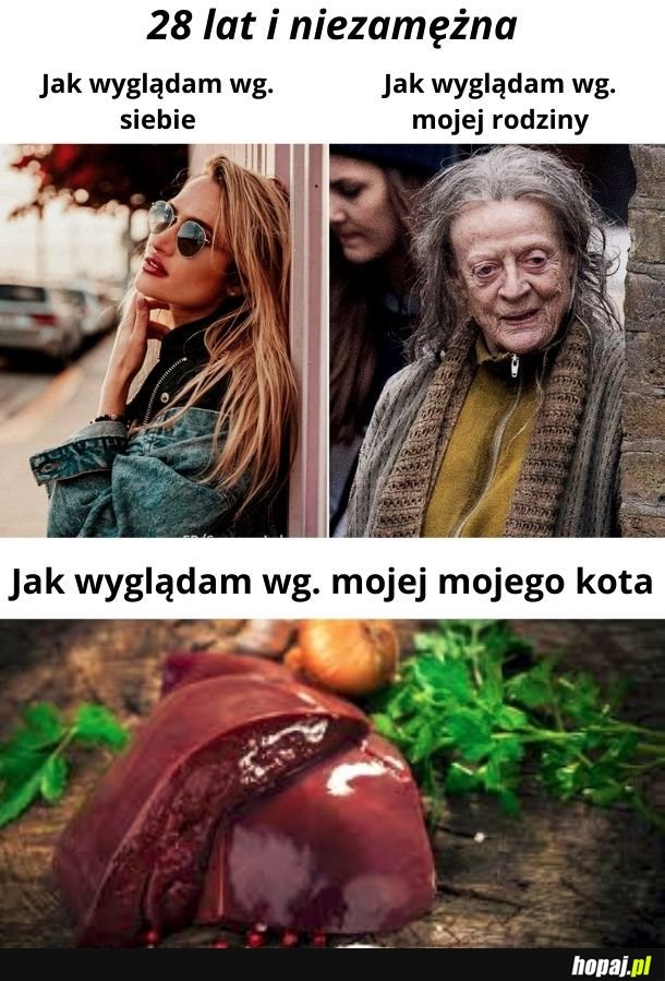 Jak mnie widzą ludzie VS mój kot