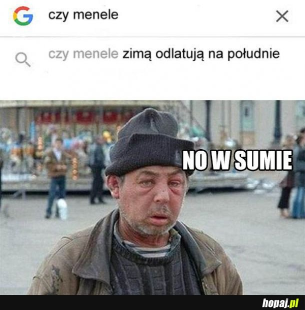 Odlatują niczym bociany