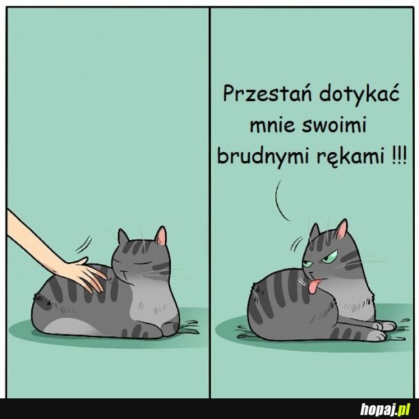 Za każdym razem..