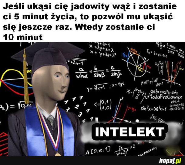 Mądrze