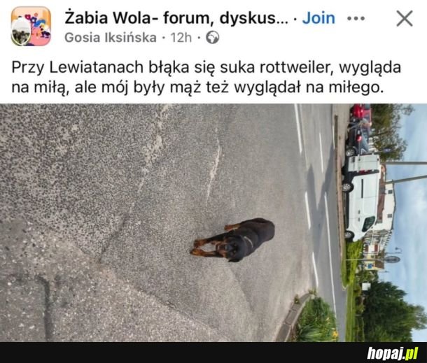 S**a rottweiler